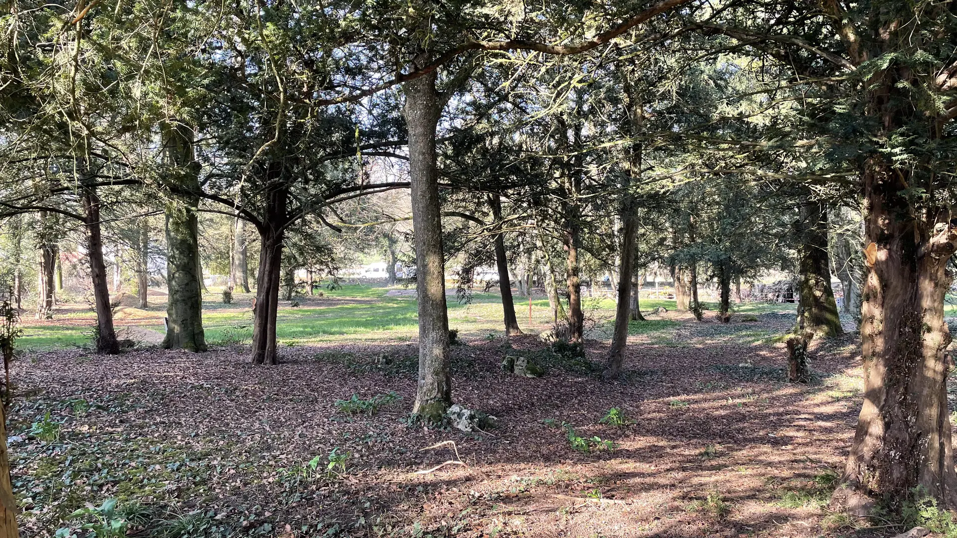 Dennevy - Parc communal - 2021 (1)