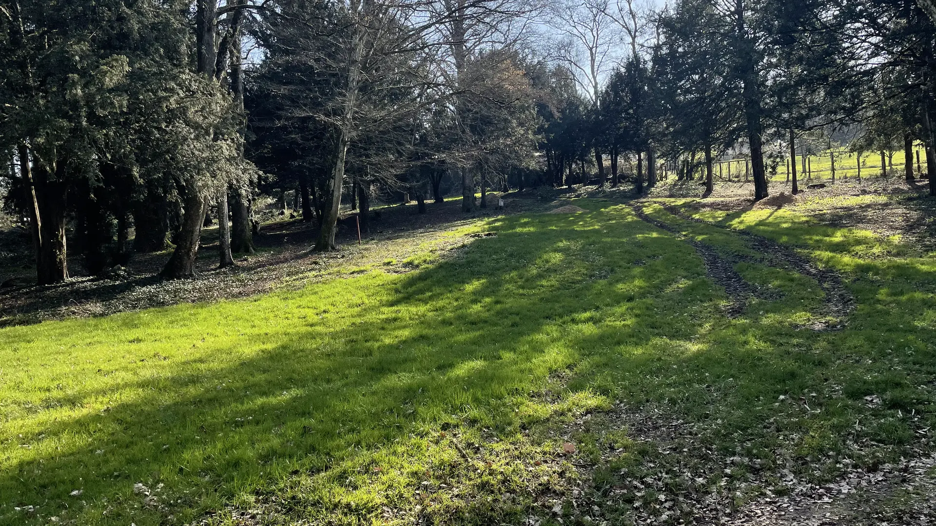 Dennevy - Parc communal - 2021 (25)