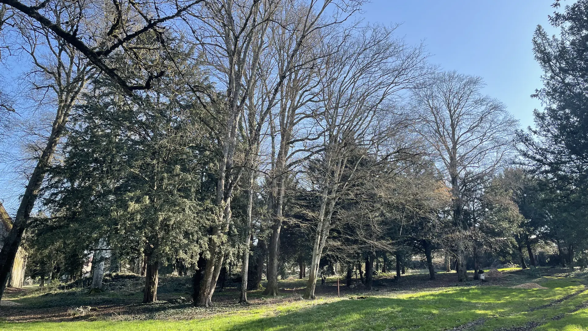 Dennevy - Parc communal - 2021 (26)