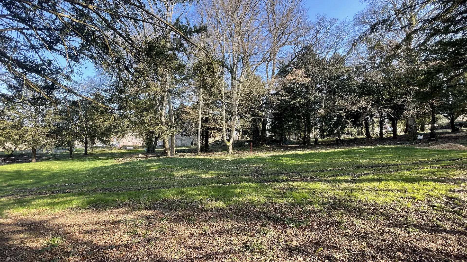 Dennevy - Parc communal - 2021 (28)
