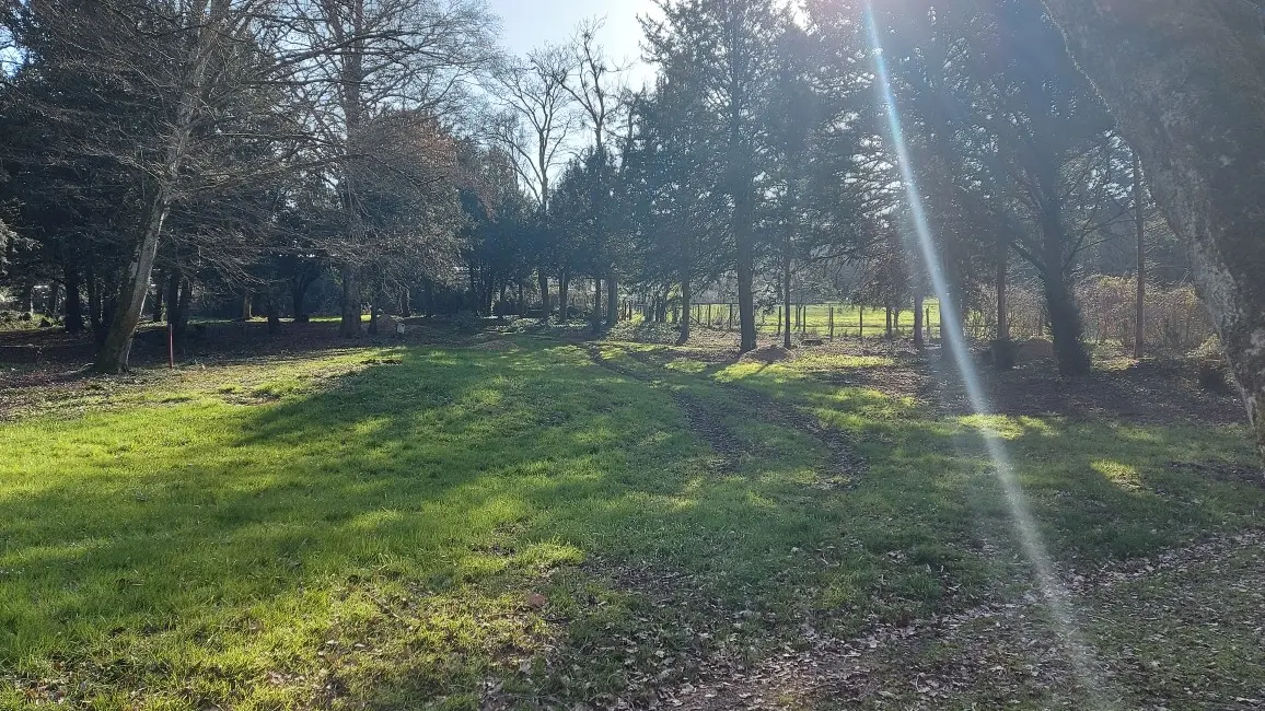 Dennevy - Parc communal - 2021 (3)