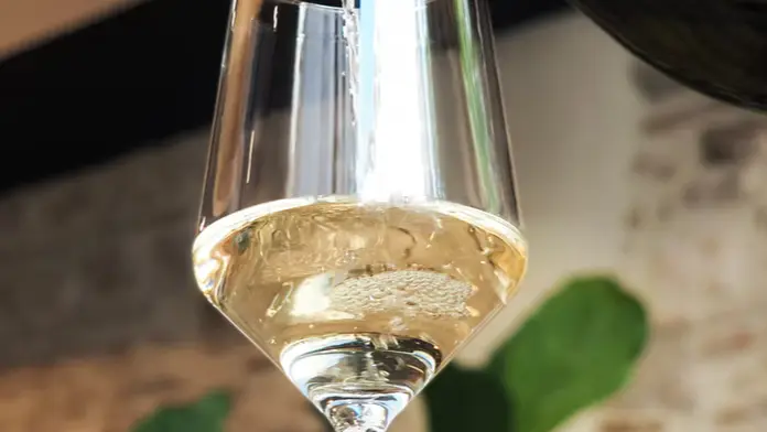 Maison des Cariatides