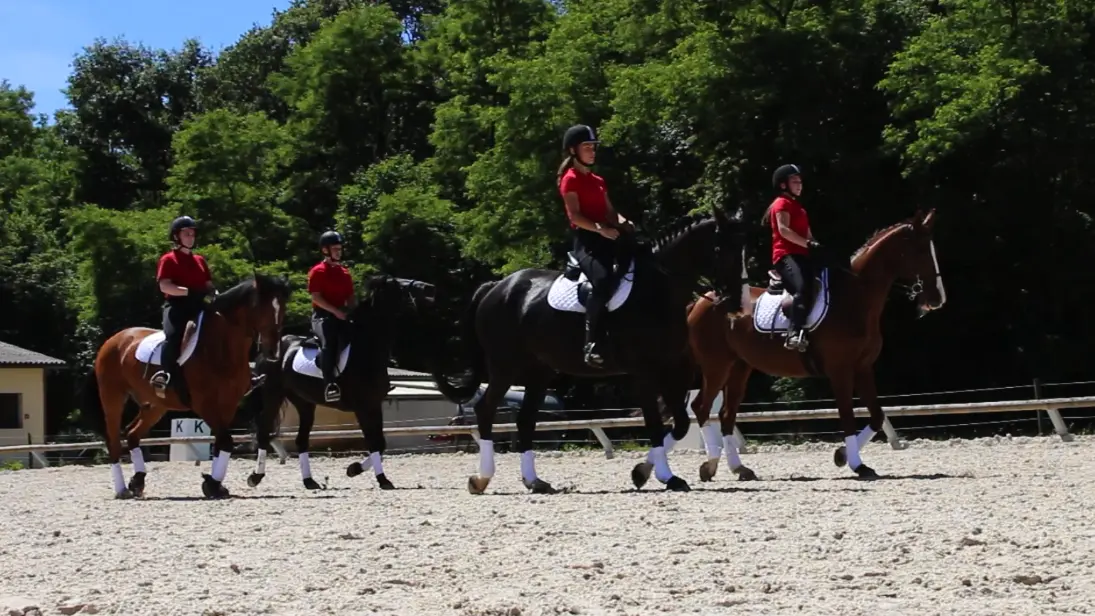 Dracy le Fort - Manège de la Tuilerie - 2017 (1)