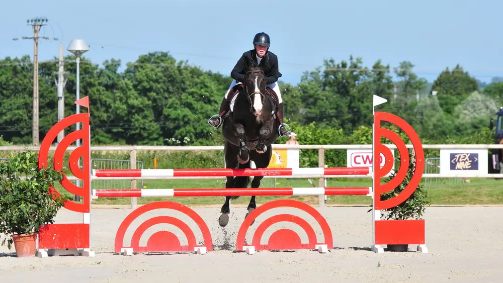 Dracy le Fort - Manège de la Tuilerie - 2017 (2)