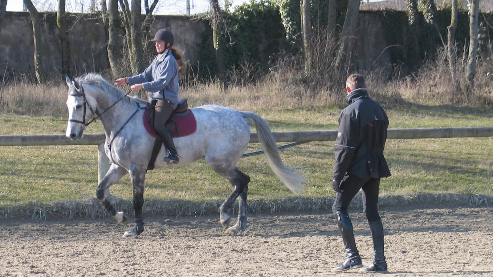 Dracy le Fort - Manège de la Tuilerie - 2017 (3)