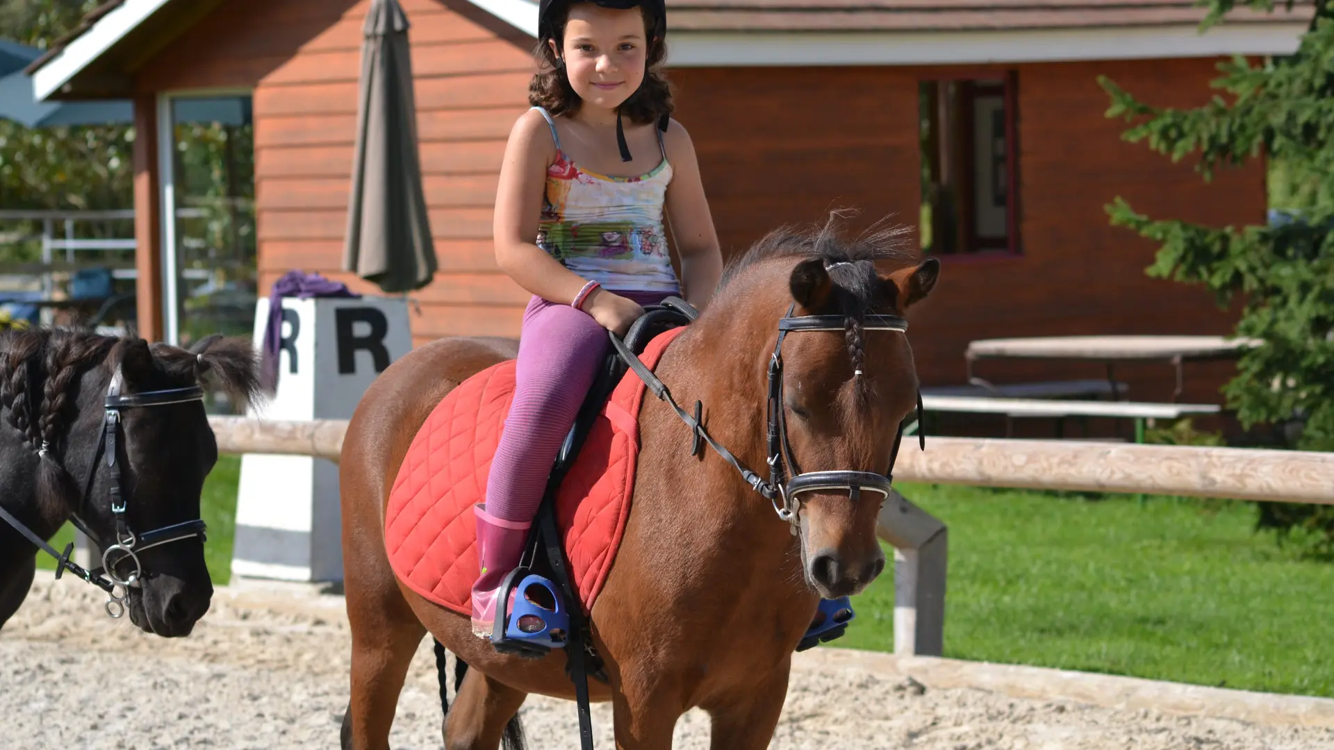 Dracy le Fort - Manège de la Tuilerie - 2017 (4)