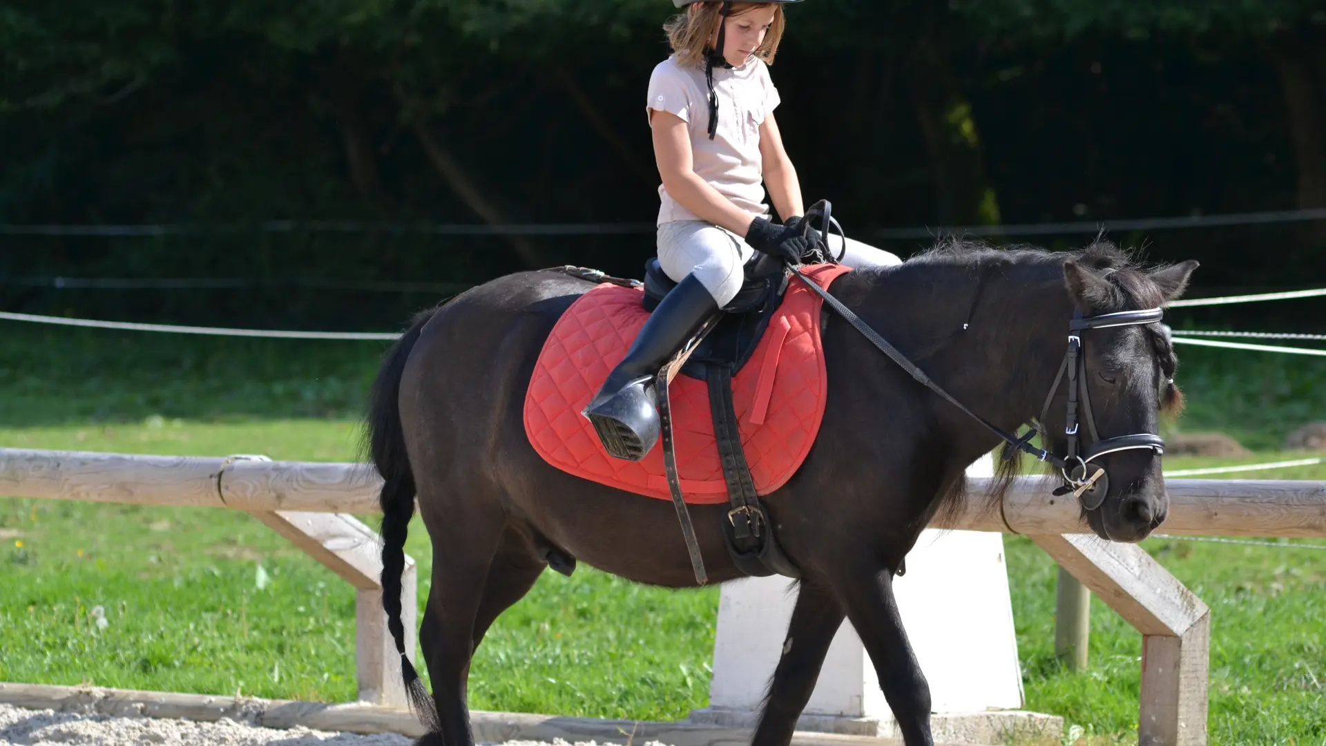 Dracy le Fort - Manège de la Tuilerie - 2017 (5)