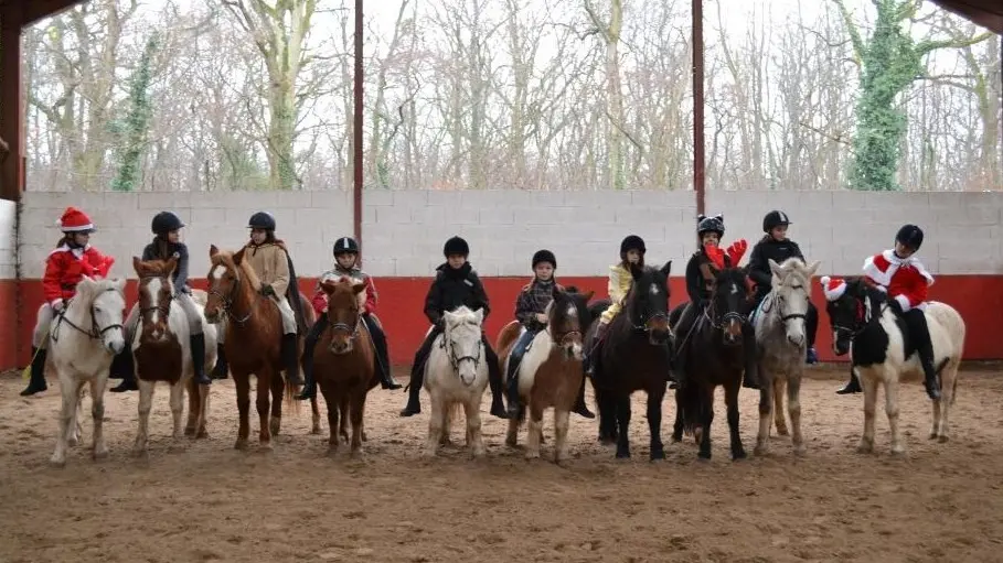 Dracy le Fort - Manège de la Tuilerie - 2017 (7)