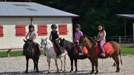 Dracy le Fort - Manège de la Tuilerie - 2017 (8)