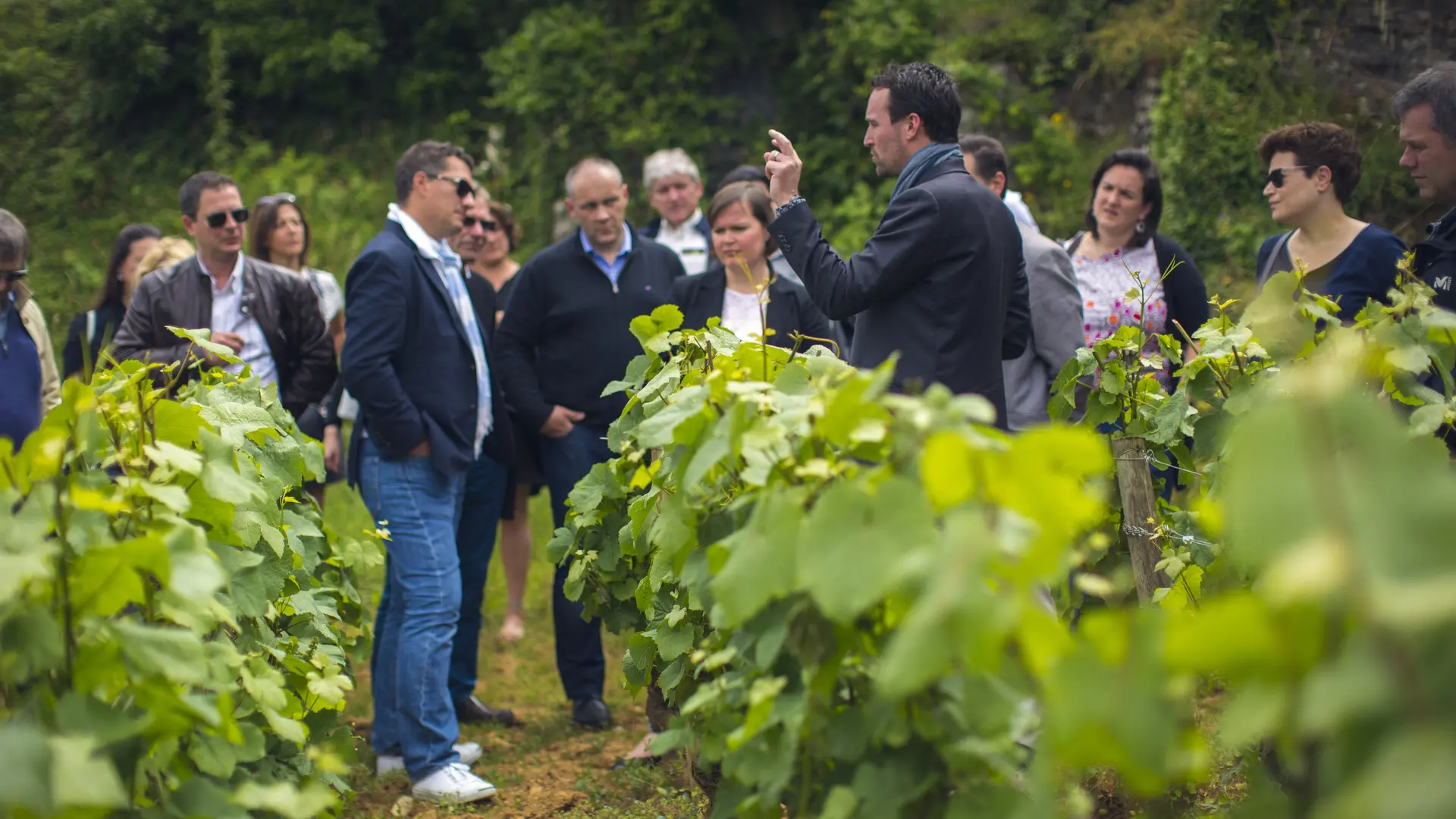 ECOLE DES VINS DE BOURGOGNE