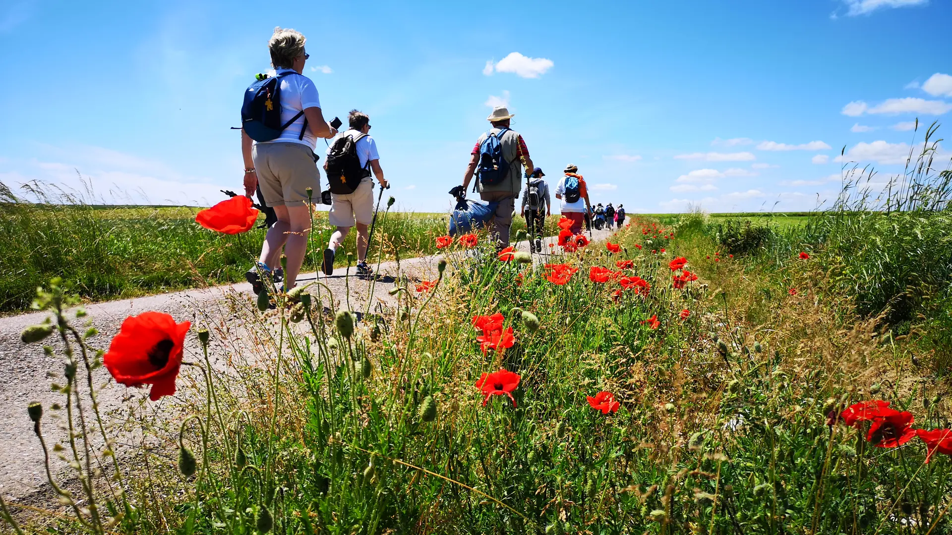 Entre Saint-Gand et Bucey-lès-Gy (7)©Leslie Maussang-AEVF