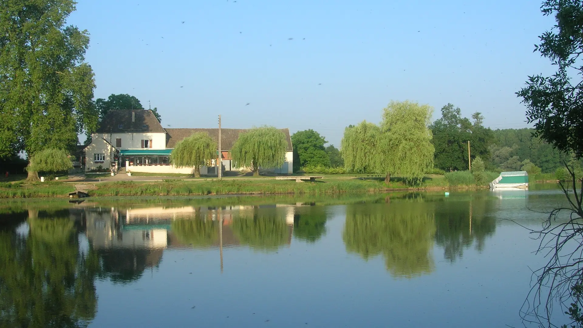 Epervans - Ile Chaumette - 2016 (2)