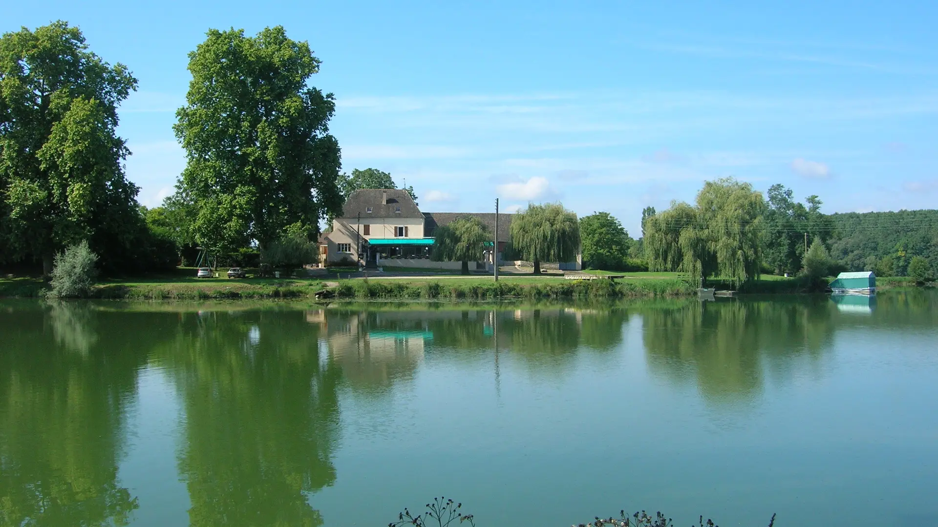 Epervans - Ile Chaumette - 2016 (3)