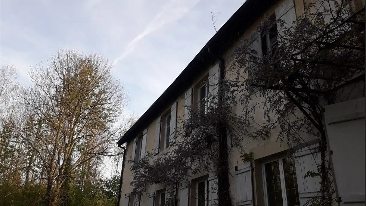 Au Hetre Pourpre