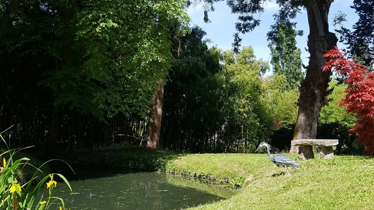 Etang