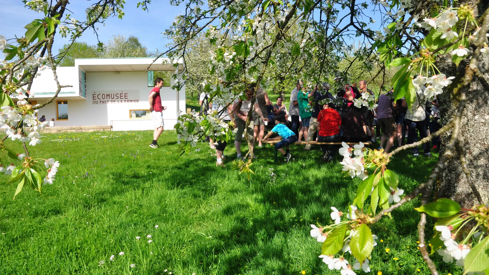 Ecomusée du Pays de la cerise à Fougerolles