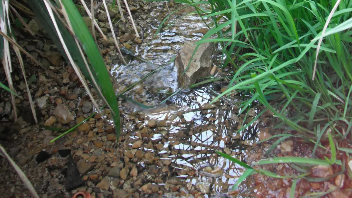 Fontaine Caillou Décibelles Data 2