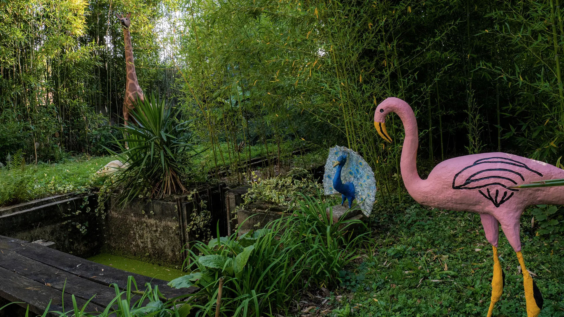La  Petite Afrique de Jules Damloup dans le jardin habité de La Fauloserie