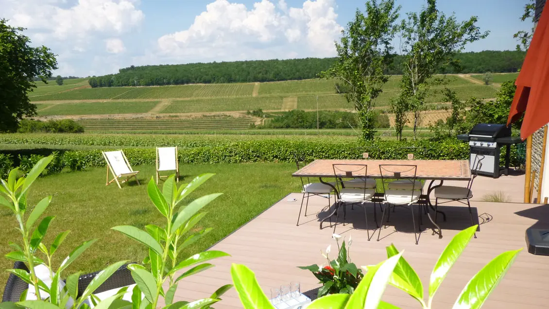 Face aux vignes de Bourgogne