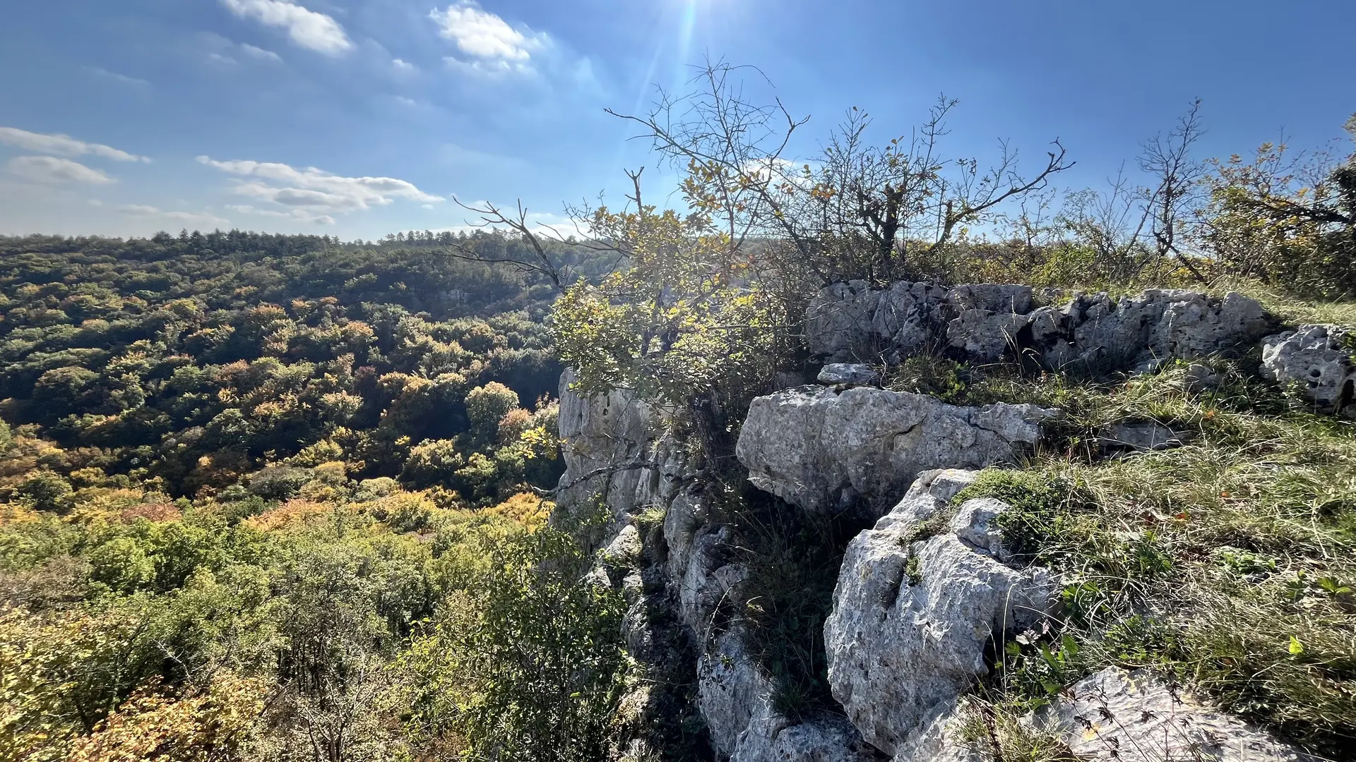 Falaise calcaire
