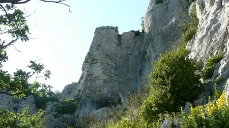 Falaise d'adret sur Brochon_bq