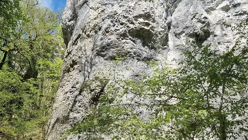 Falaises de Brochon