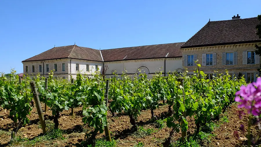 Famille Picard - Chassagne Montrachet