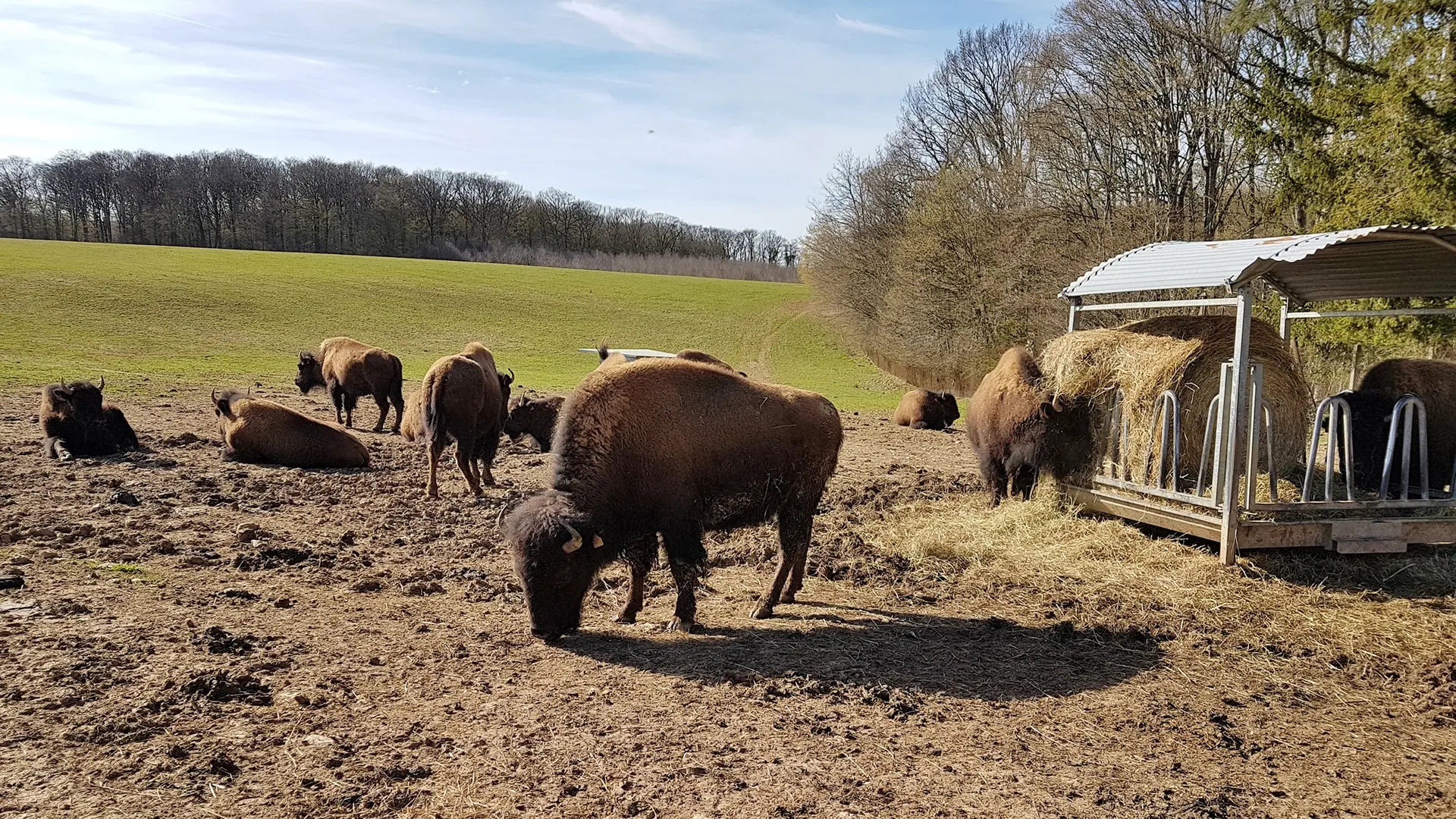 La Ferme de la marquise