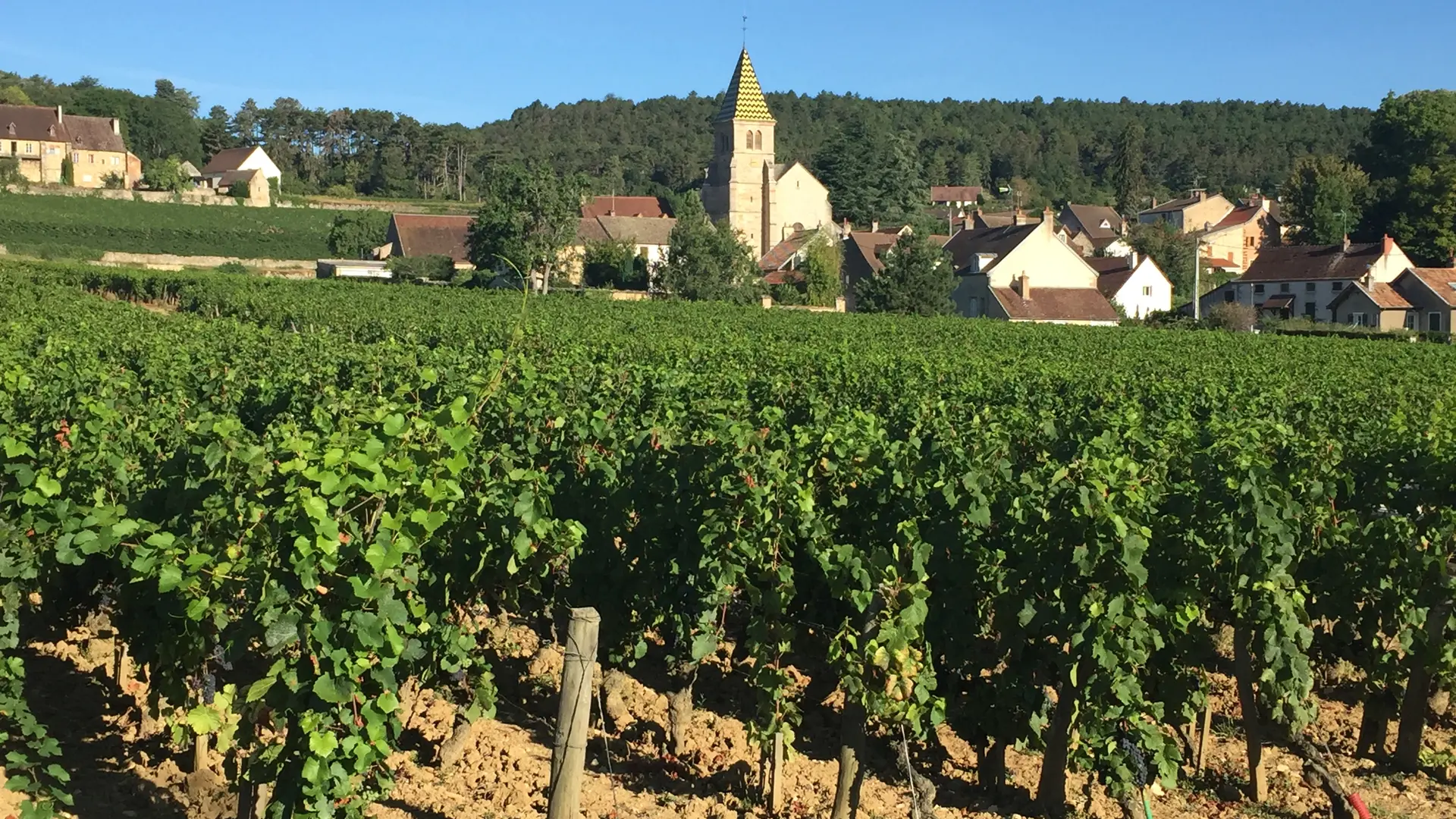 Fixin et ses vignobles
