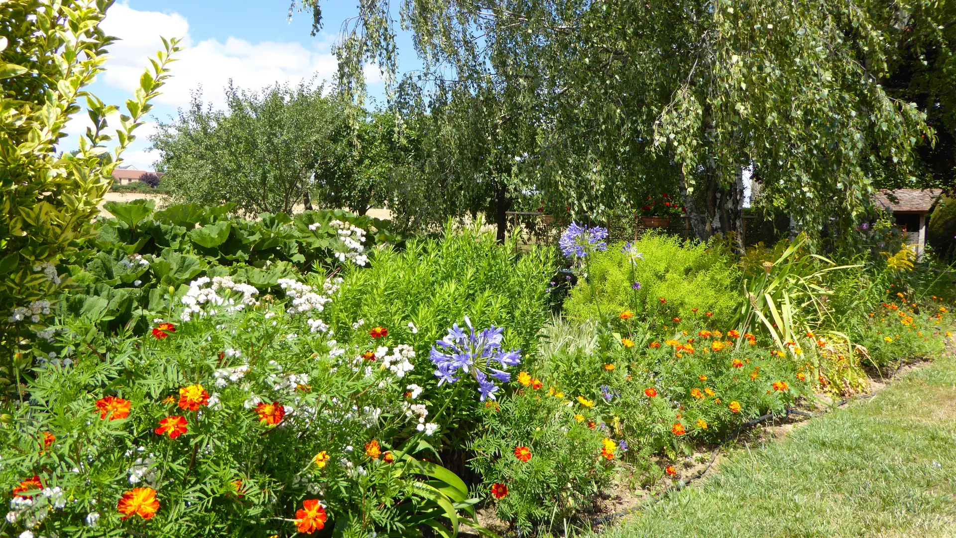 Parterre fleuri au Château de Ribourdin