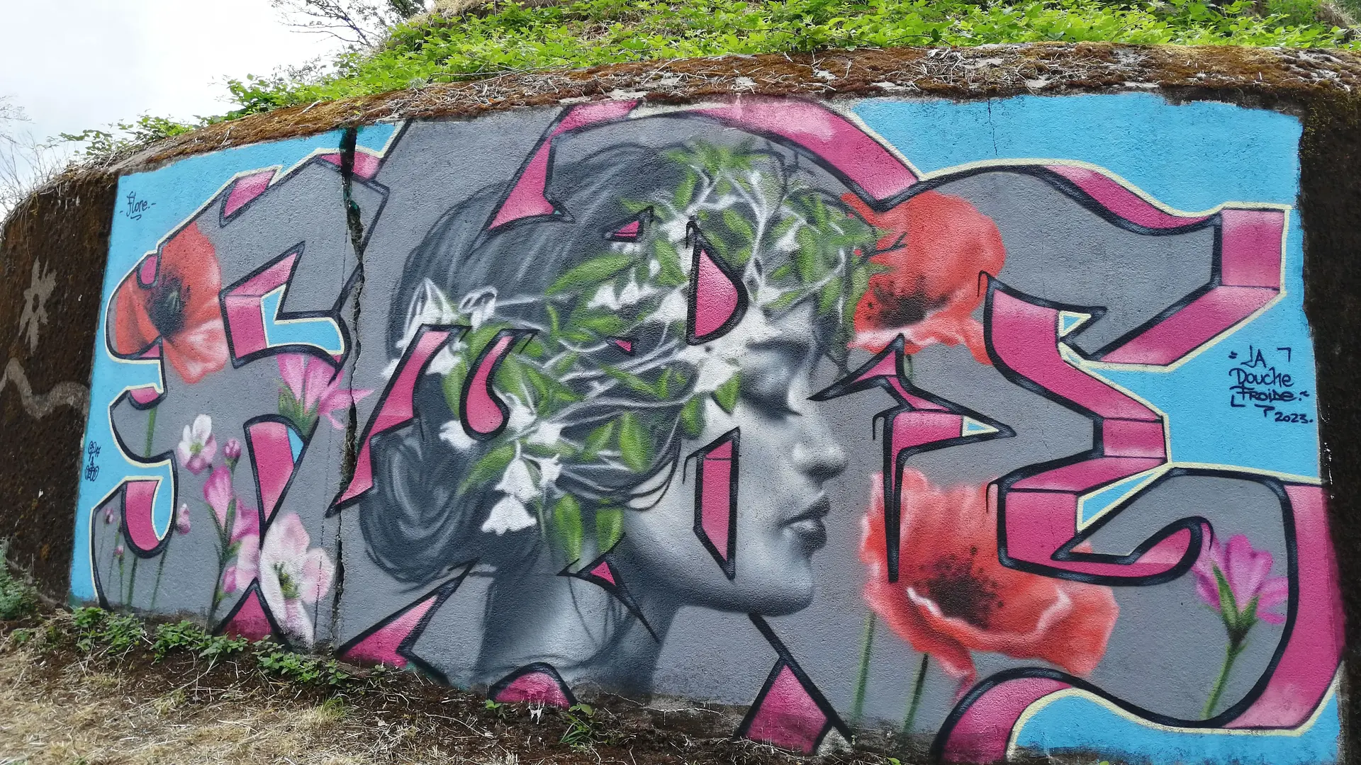 Flore bombe aérosol