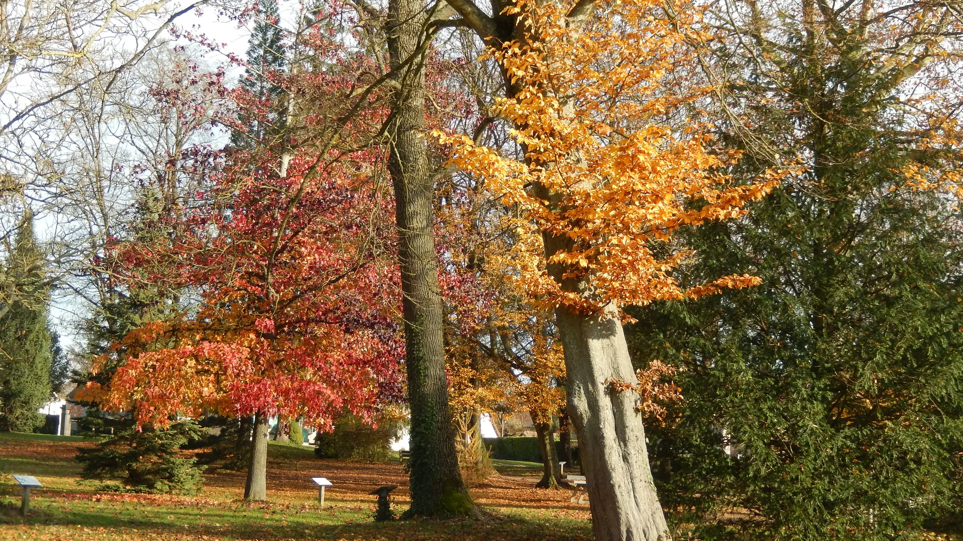 Fragnes La Loyere - Parc des Lauriers - 2016 (1)