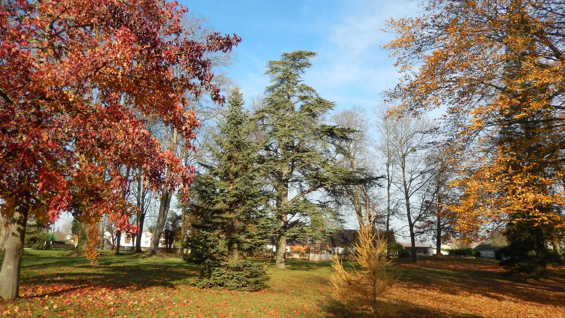 Fragnes La Loyere - Parc des Lauriers - 2016 (2)