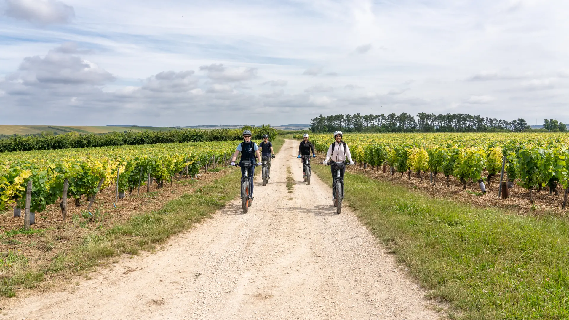 France à Vélo - Etrott dans les vignes