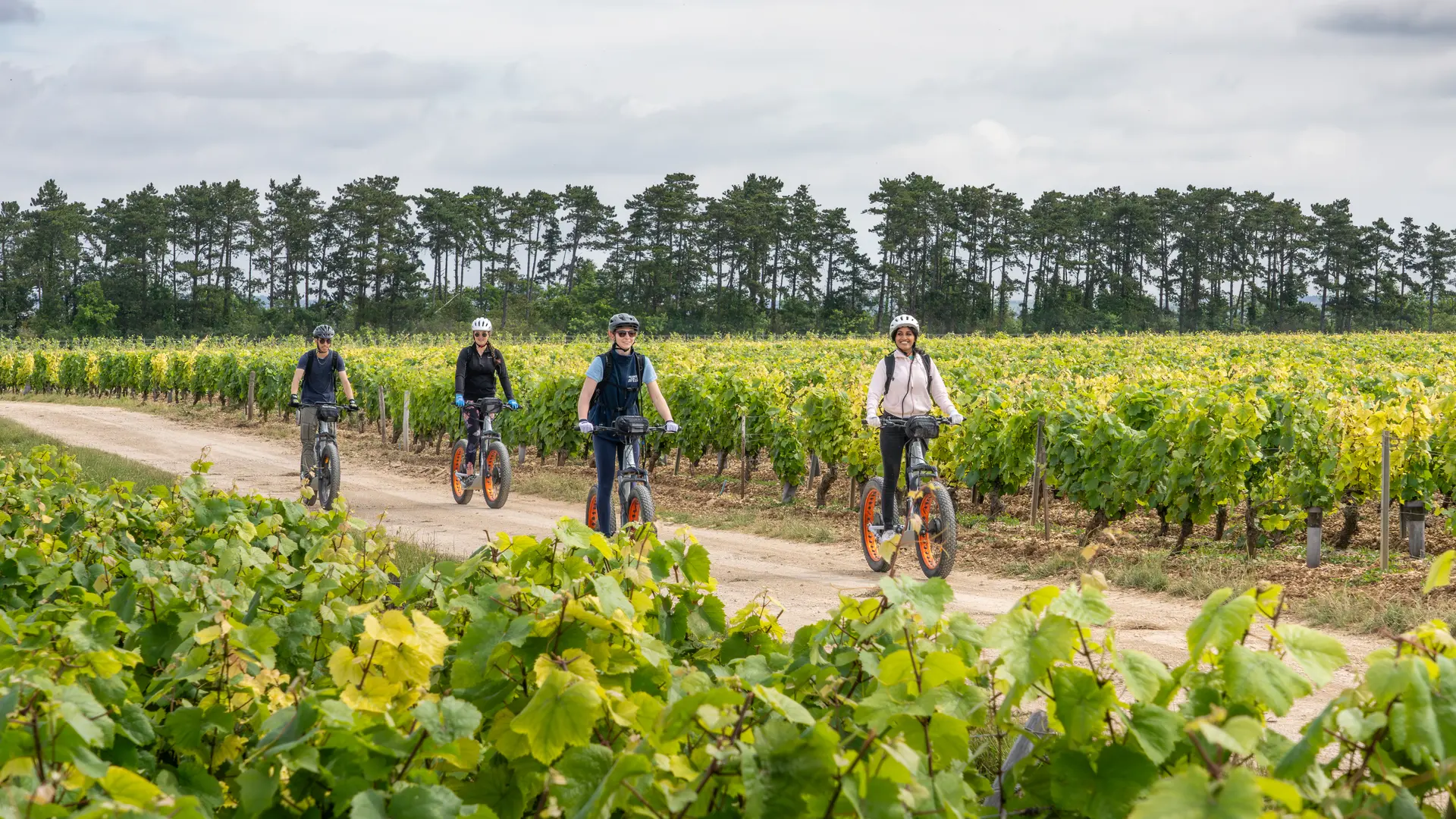 France à Vélo - etrott dans les vignes à Chablis/Auxerre/Saint Bris