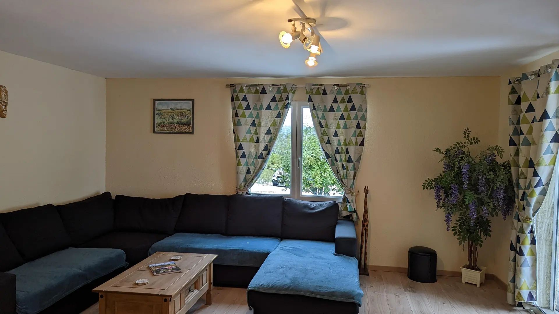 .trashed-1677237661-PXL_20230124_092137728_6