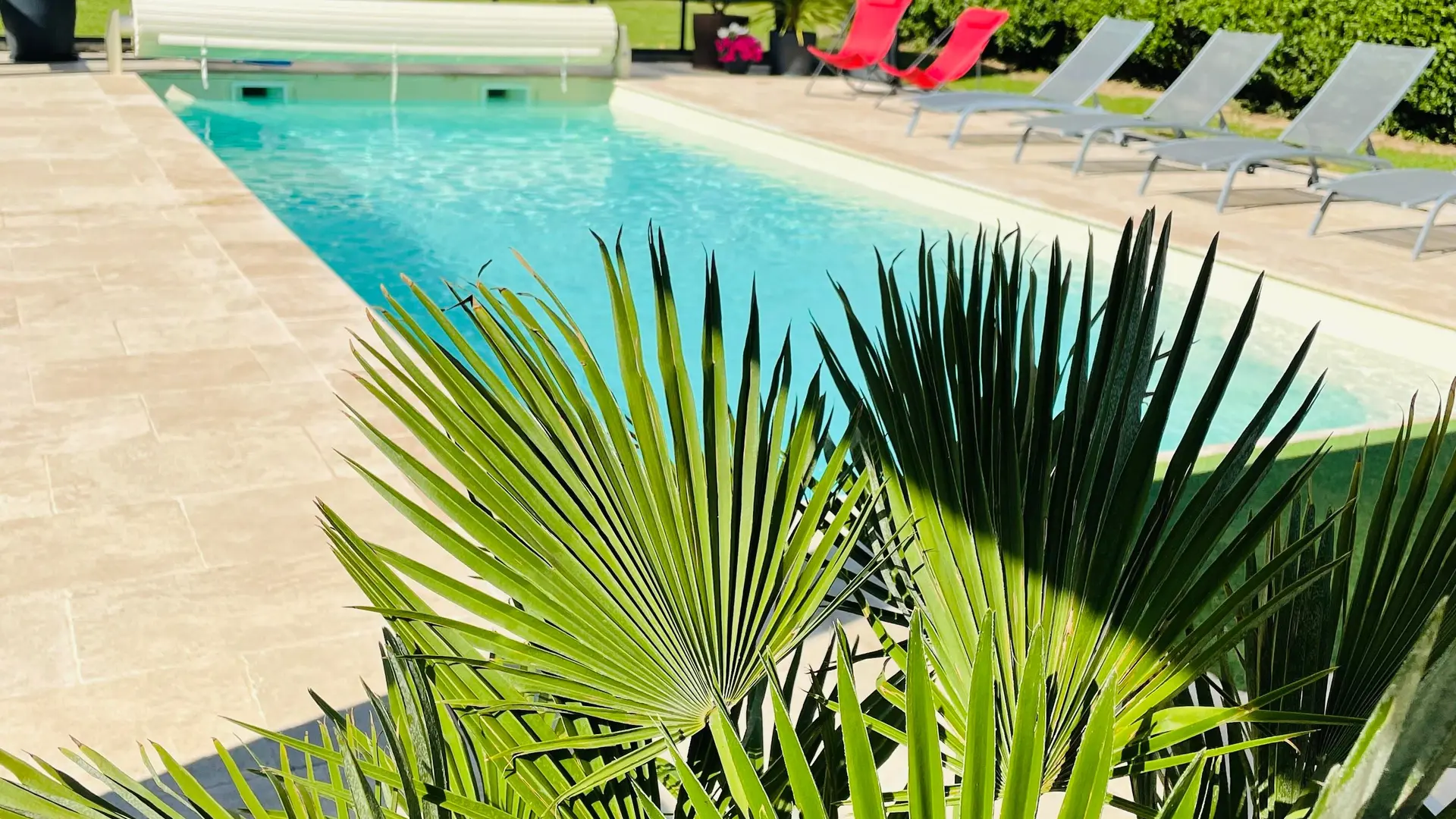 3D2F99E3-8D6E-419D-9934-98FB49BAED94_1_201_a_8