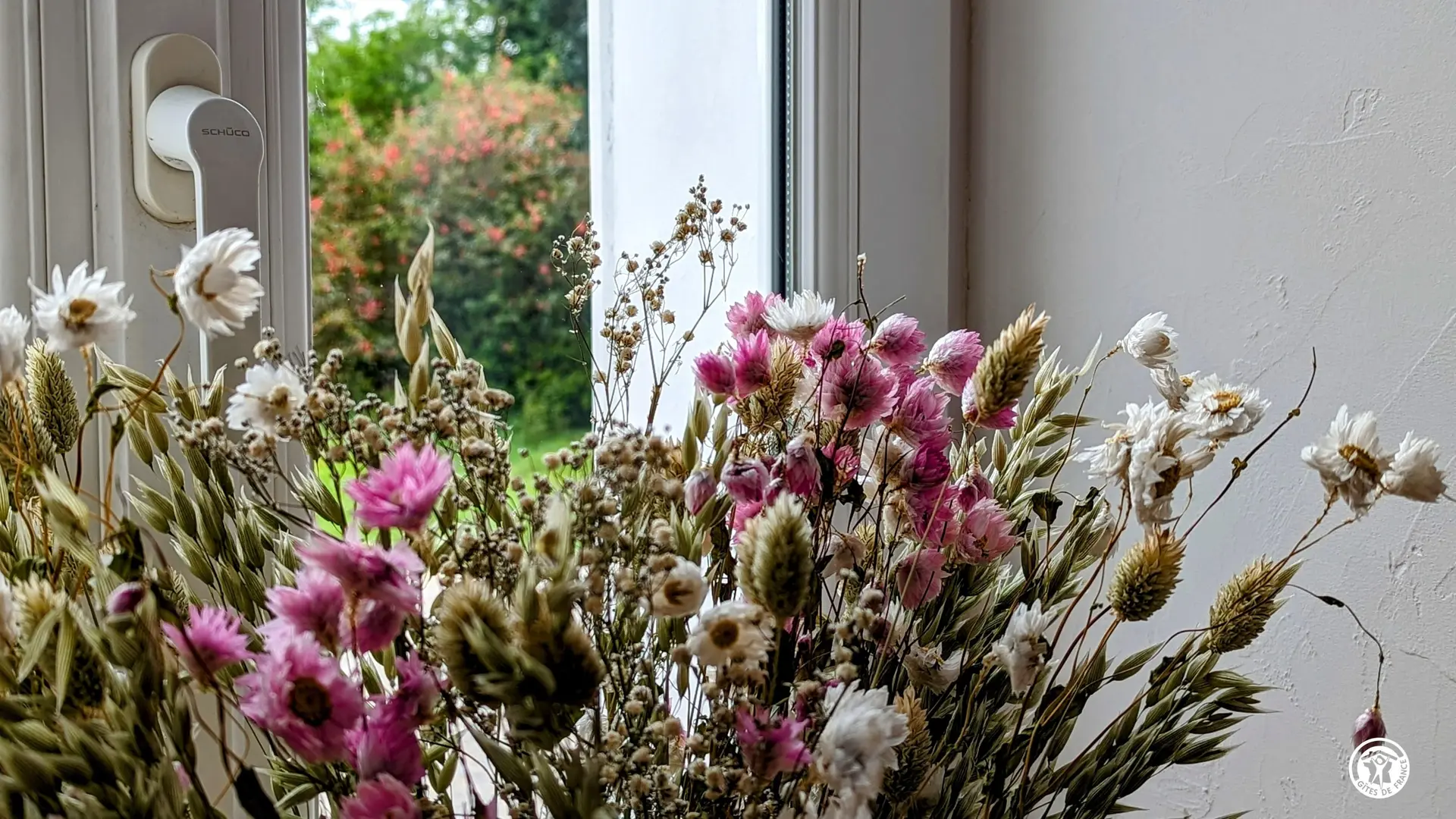 PXL_20240405_113740106~2_8