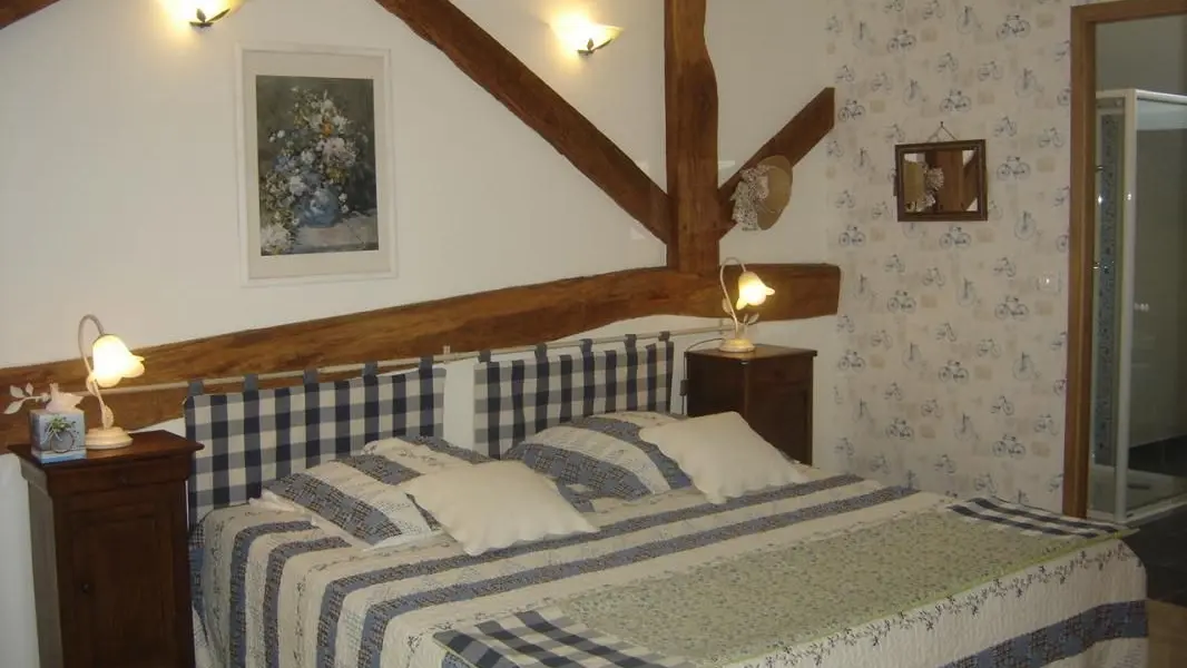 CHAMBRE La bicyclette bleue_3