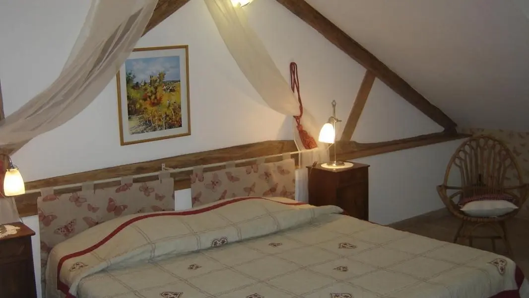 Chambre les papillons_6