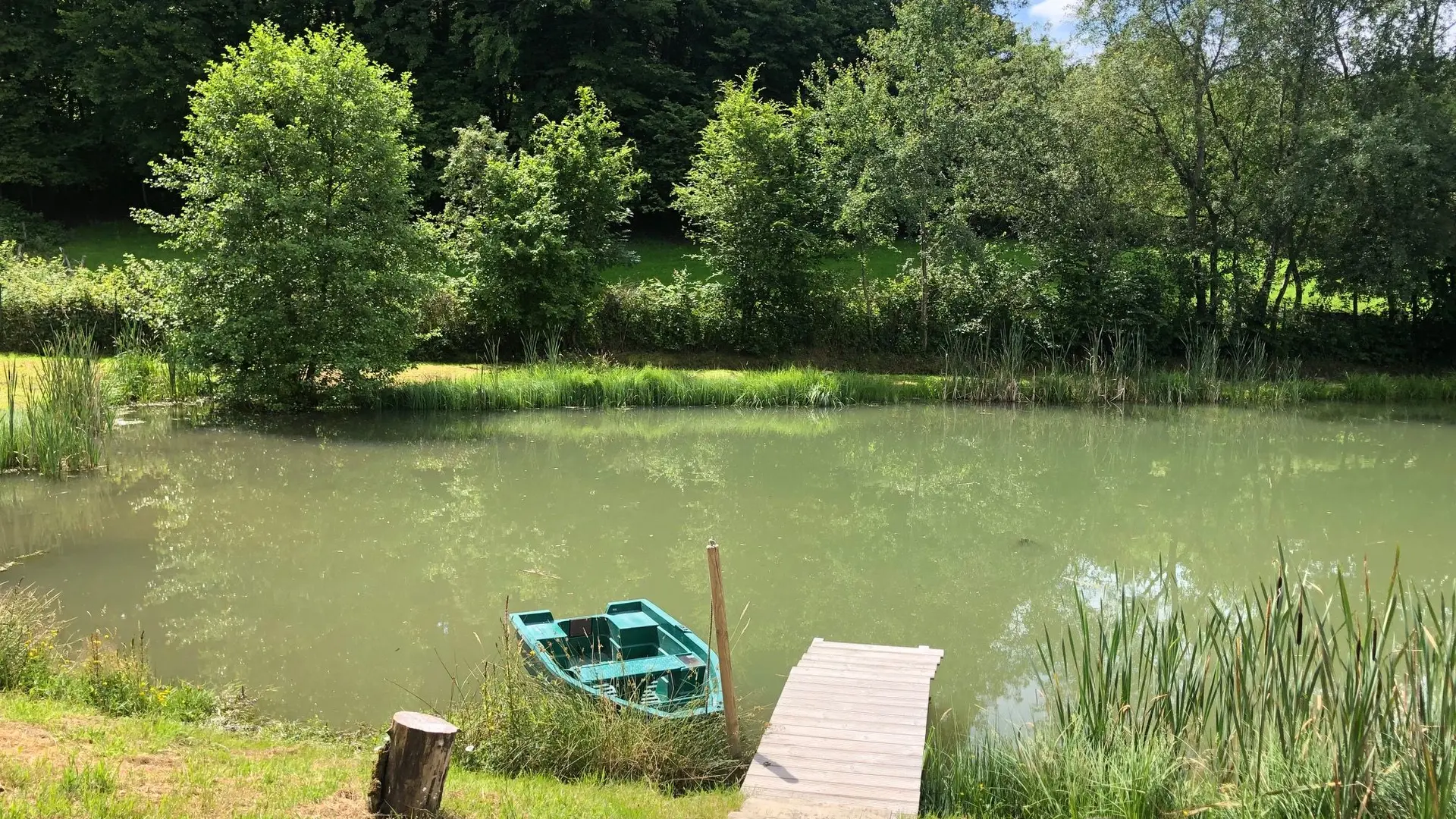 Etang situé proche de la maison_9