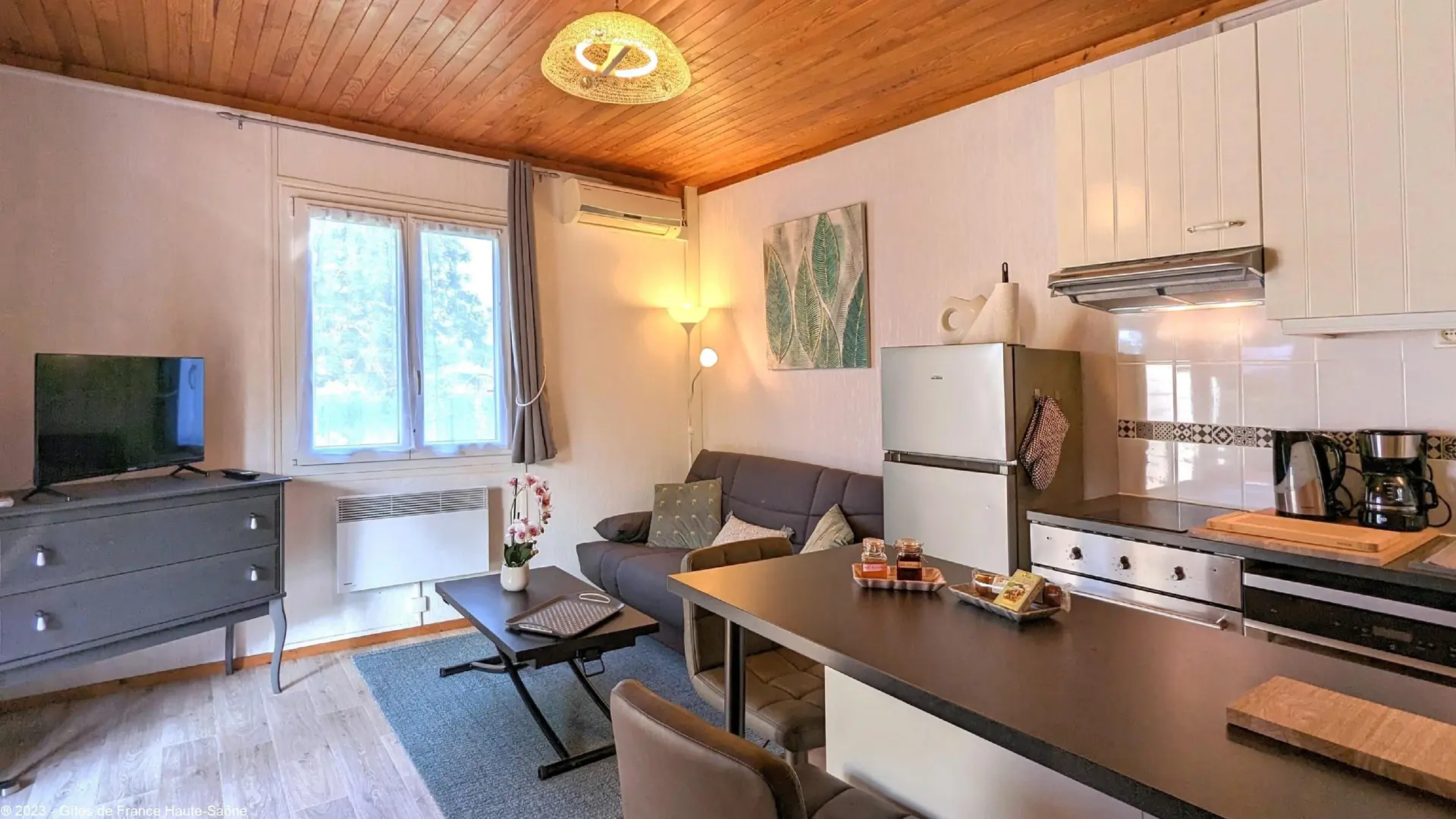 PXL_20230628_073722400_9