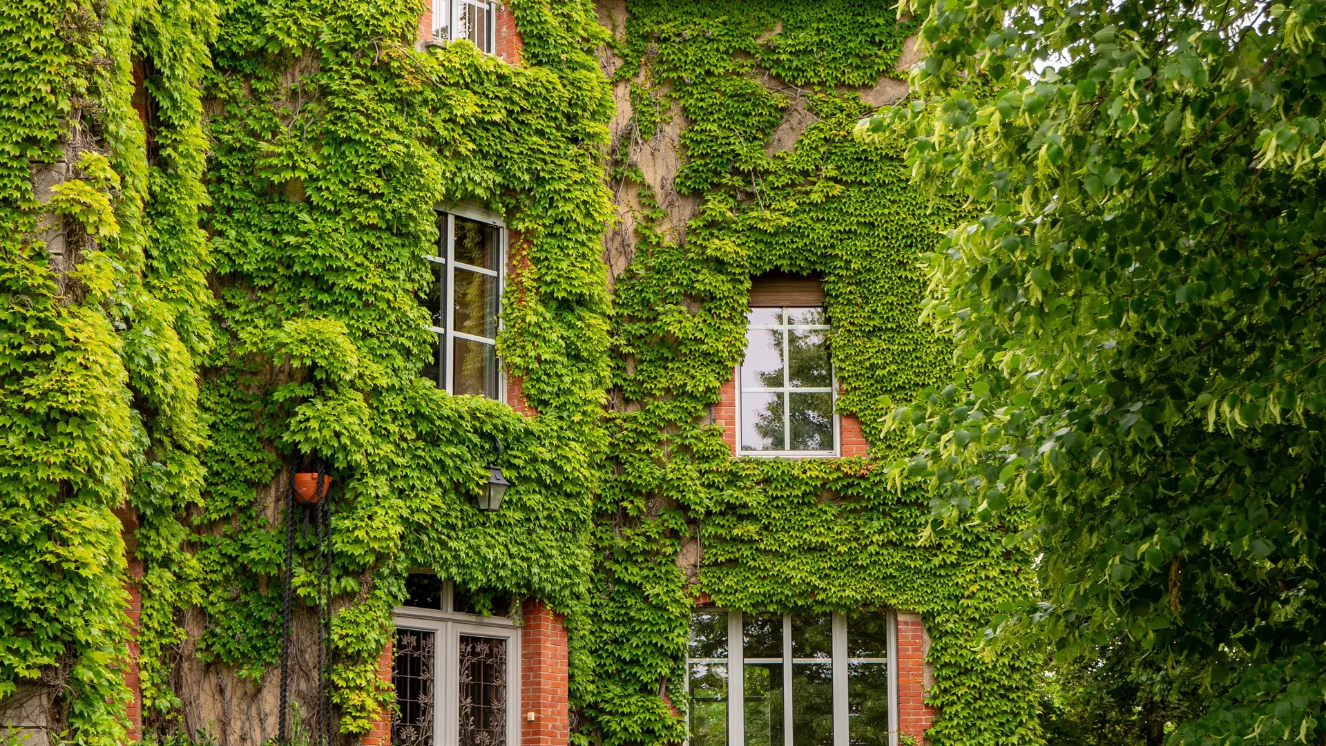 La Maison d'Adèle_5