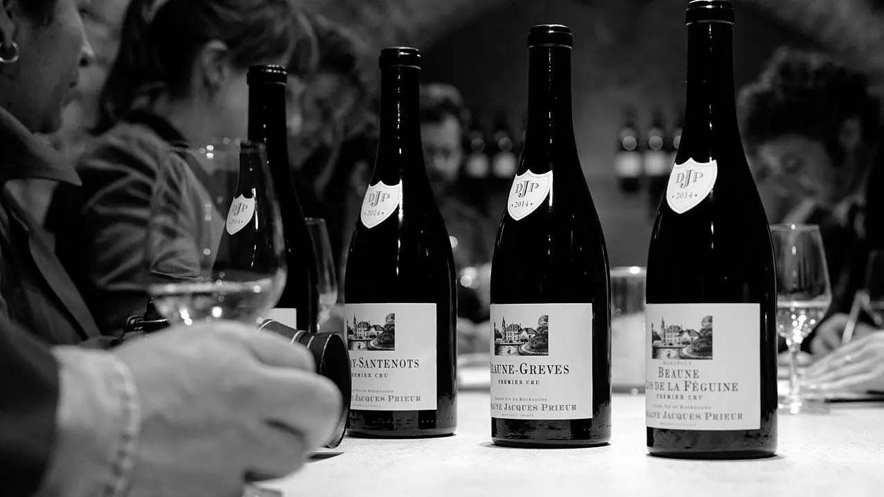 Domaine viticole Meursault