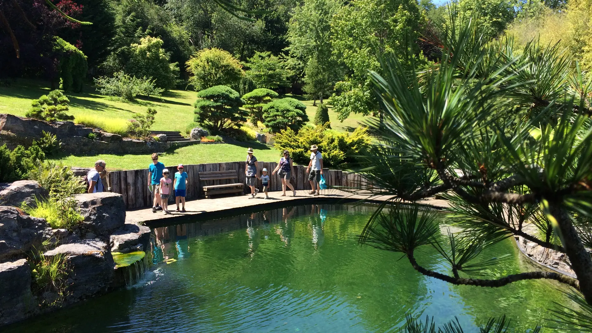 Une piscine biologique majestueuse