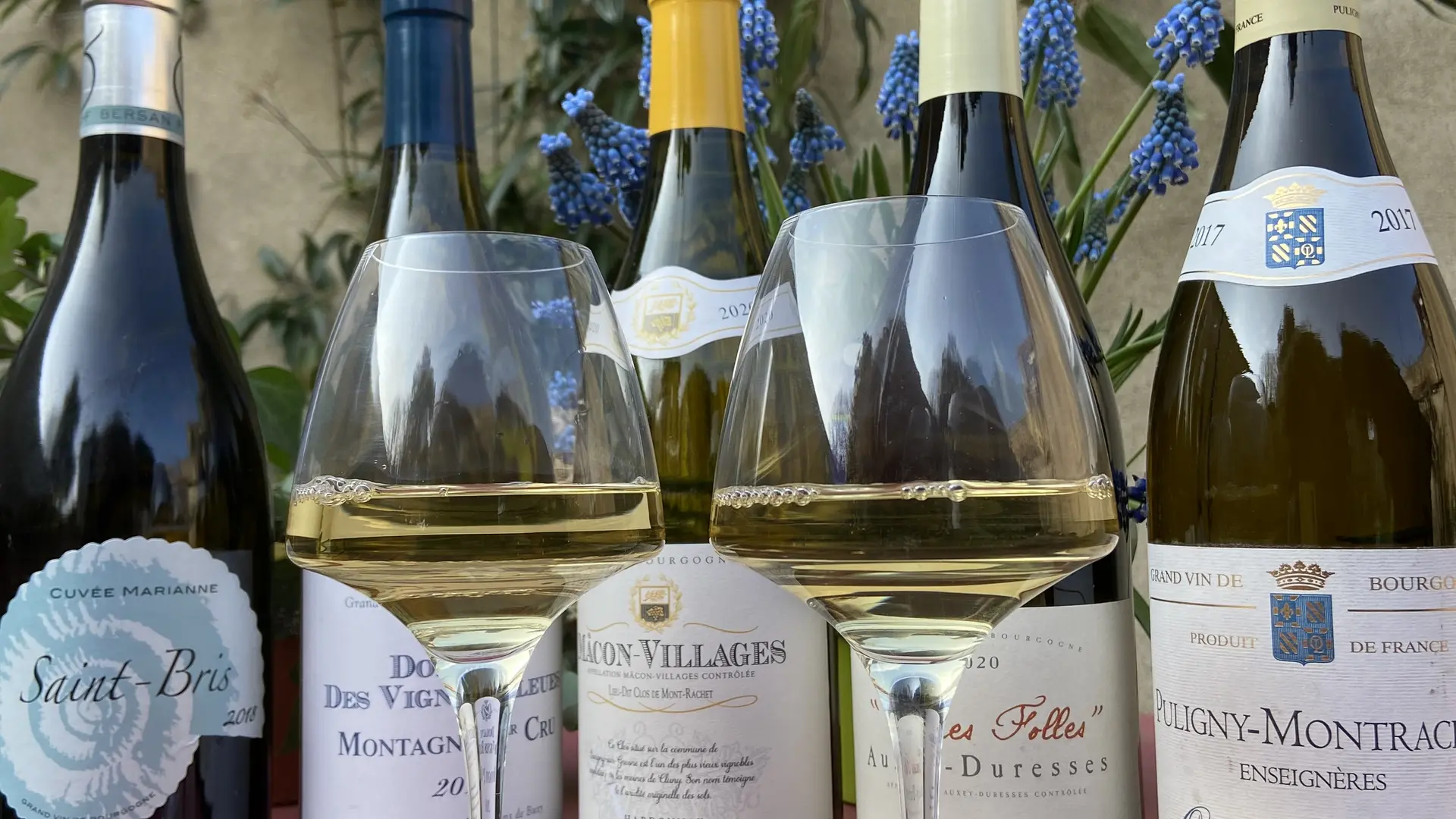 Sélection de vins de Bourgogne