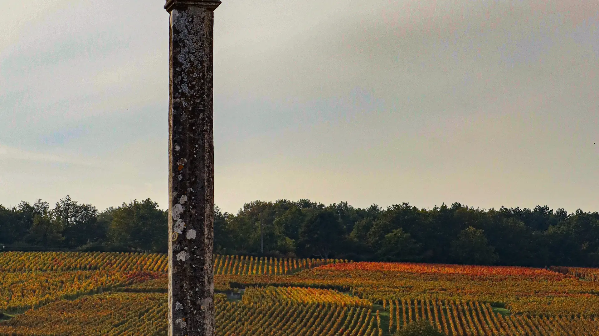 Croix de la Romanée Conti