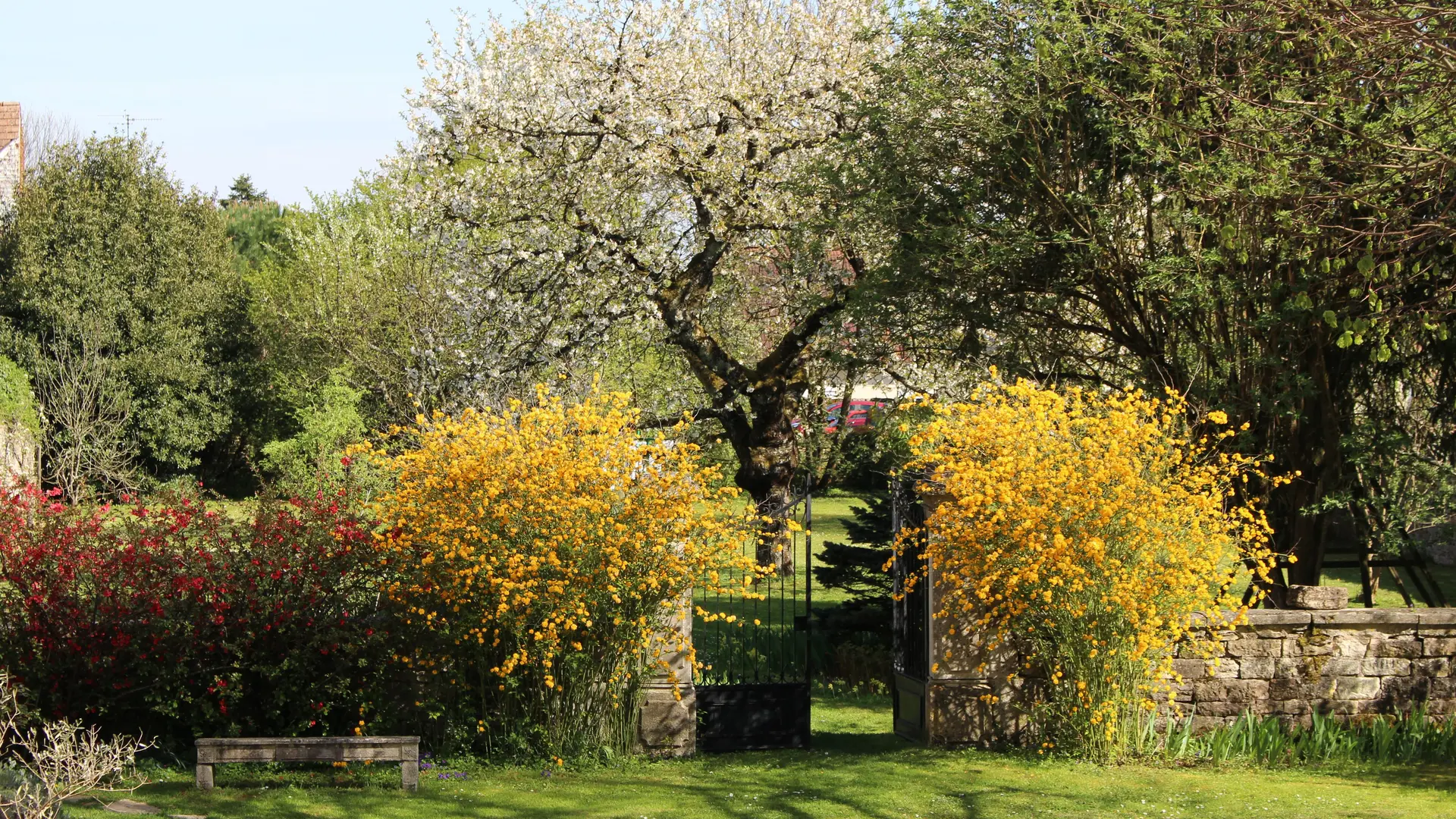 Le jardin au printemps