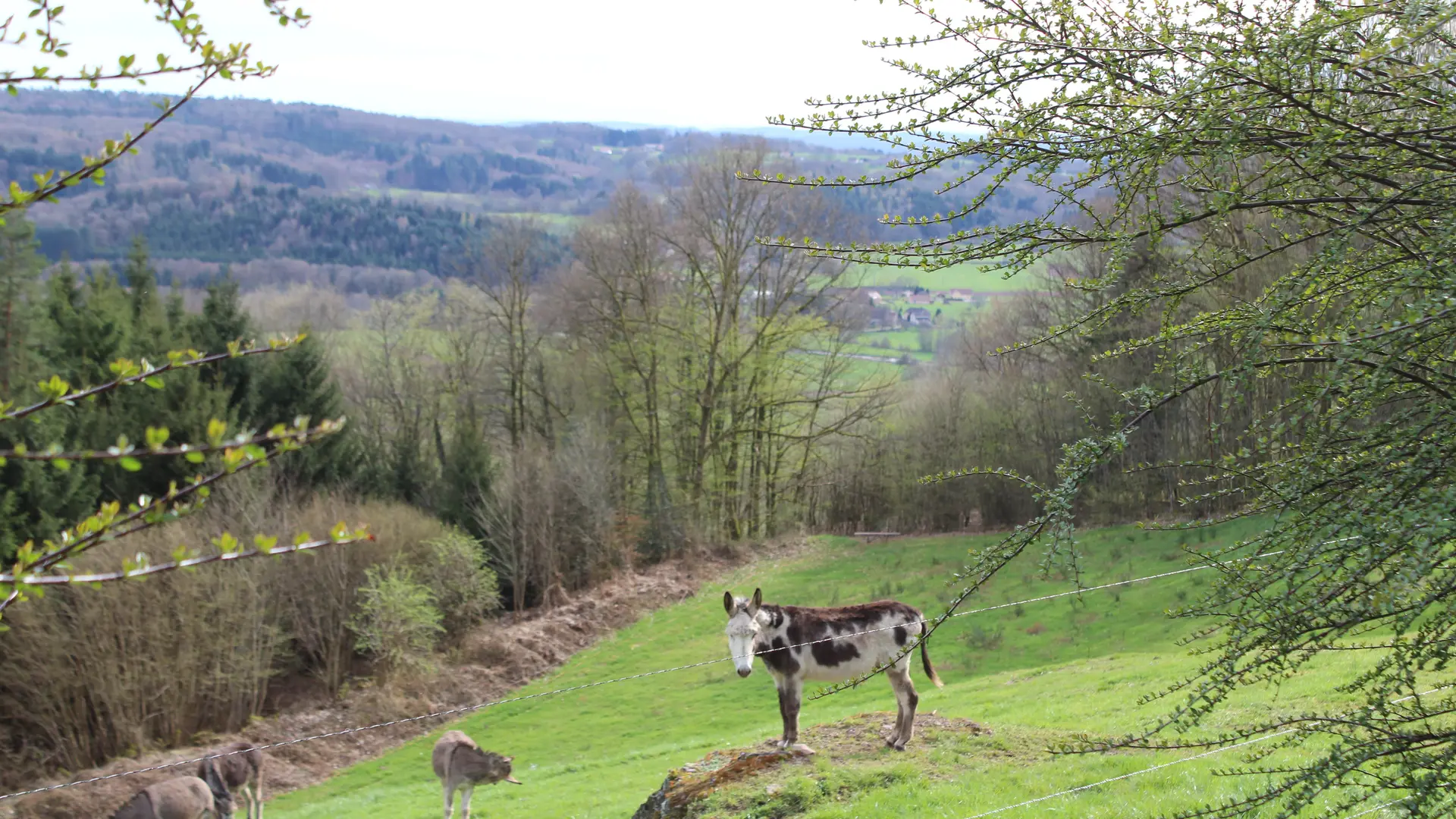 Circuit des deux chapelles