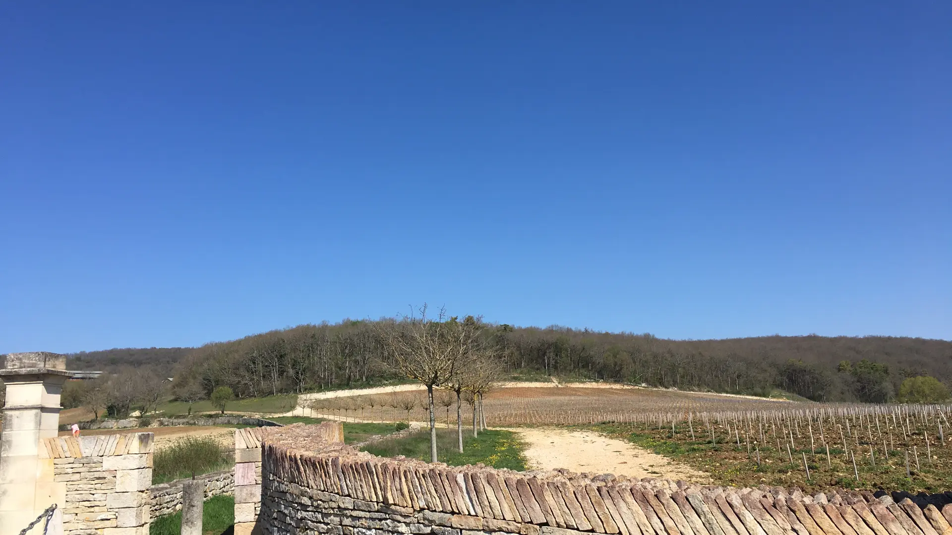 Entrée pièce de Rully